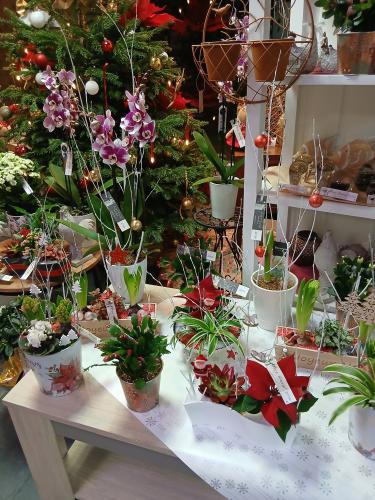 Réalisations compositions florales de Noël